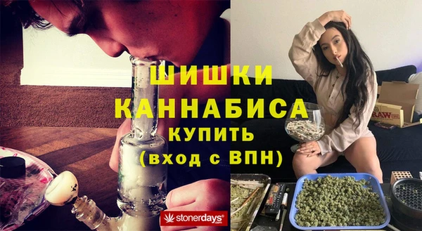 spice Аркадак